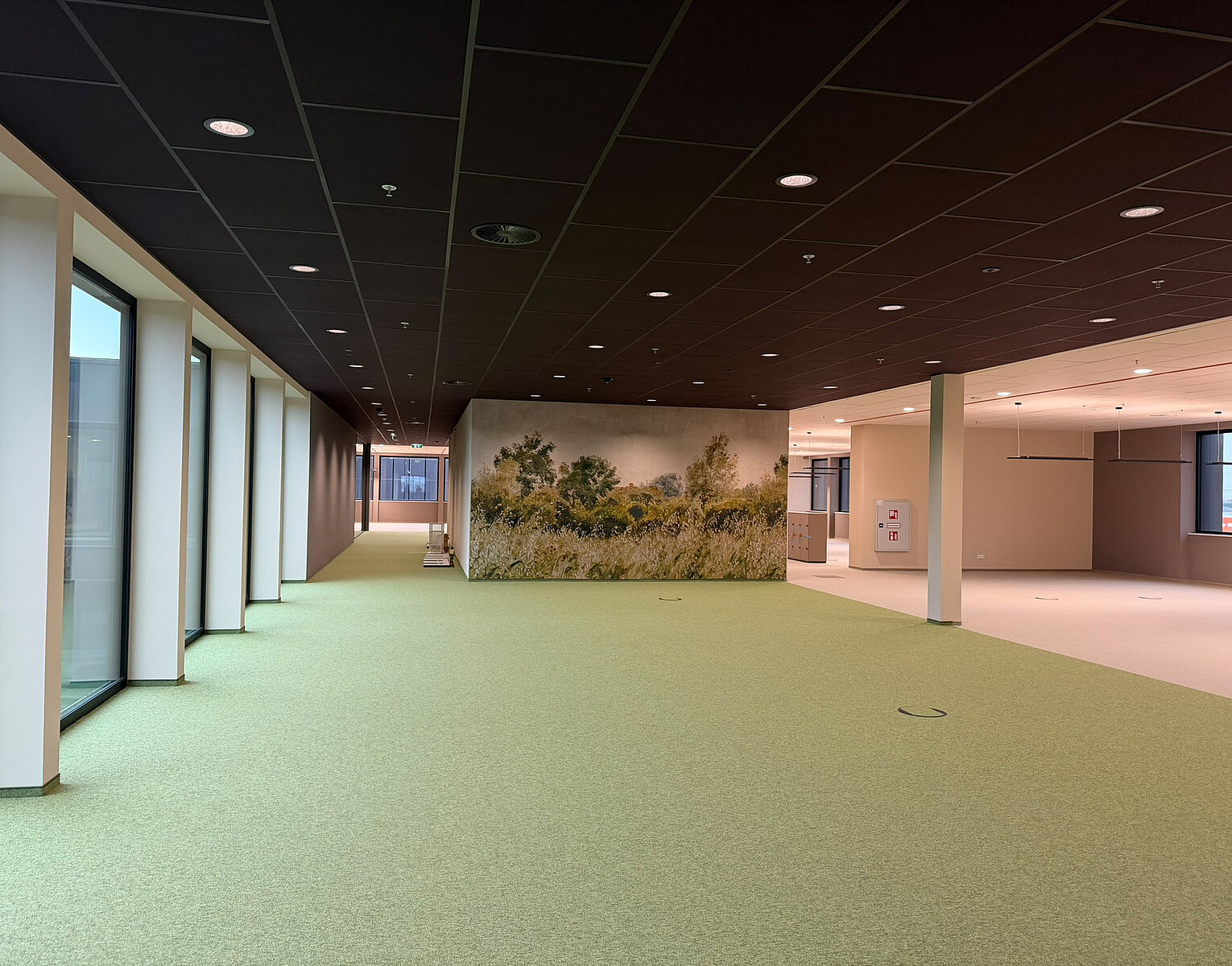 Großer, leerer Raum mit grünem Teppich, großen Fenstern an der linken Seite, dunkelbraunem Deckensystem und einer Wand mit Fototapete von Wiesen und Büschen.