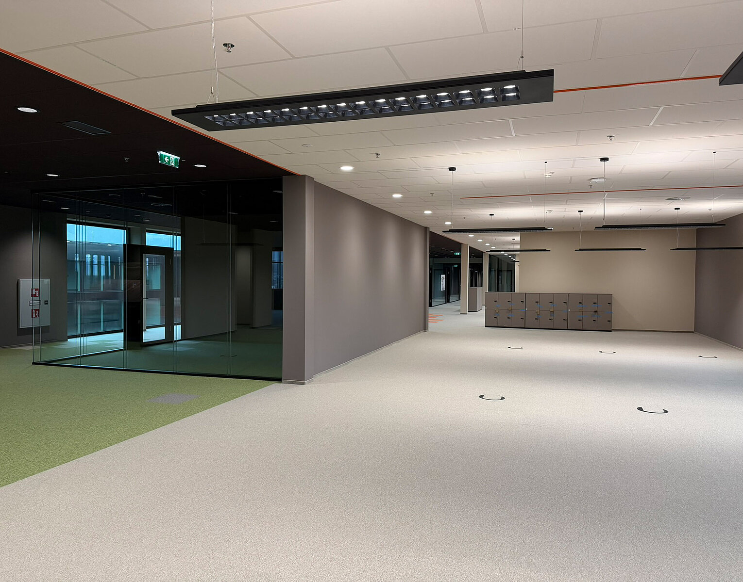 Leerer, moderner Büro- oder Ausstellungsraum mit Teppichboden, großen Glaswänden, hellen Deckenleuchten und grauen Trennwänden.